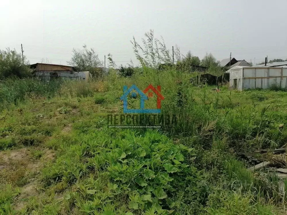Дом в Тюменская область, Тобольск ул. Алябьева (55 м) - Фото 1
