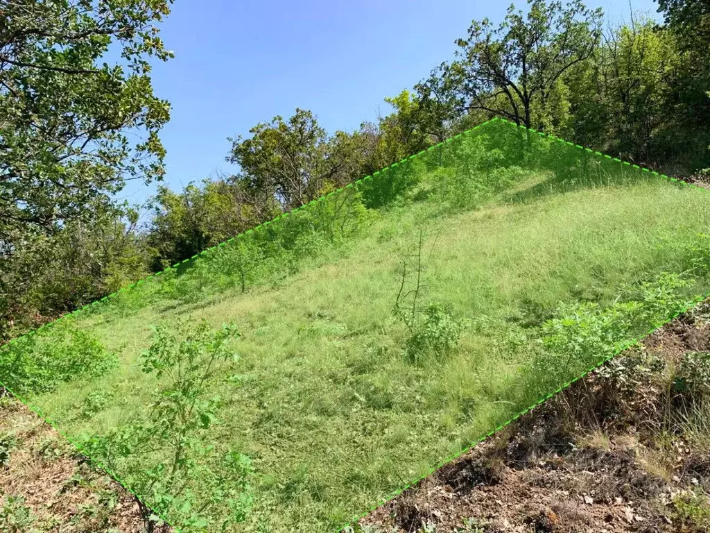 Участок в Крым, Алушта муниципальный округ, с. Малореченское ул. ... - Фото 2