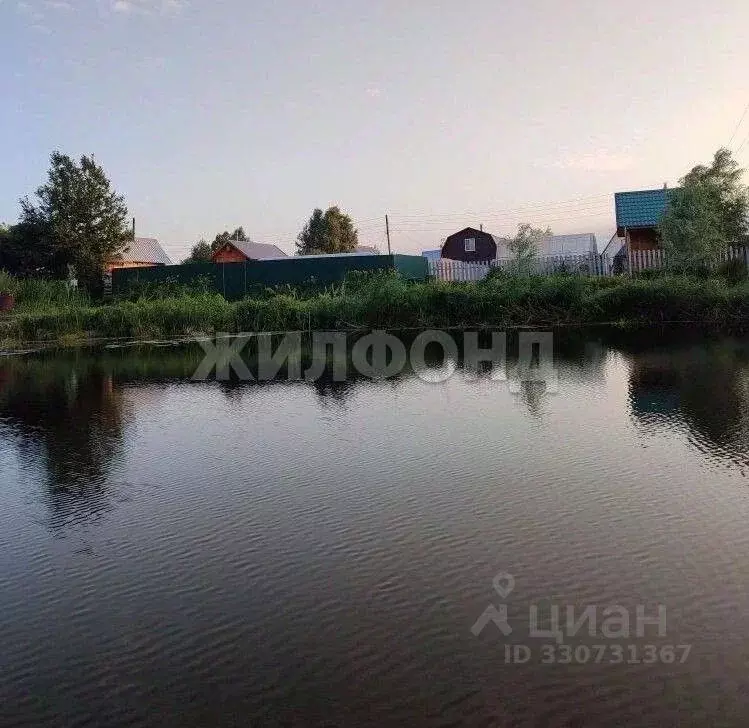 Участок в Новосибирская область, Колыванский район, Надежда СТ  (8.8 ... - Фото 2