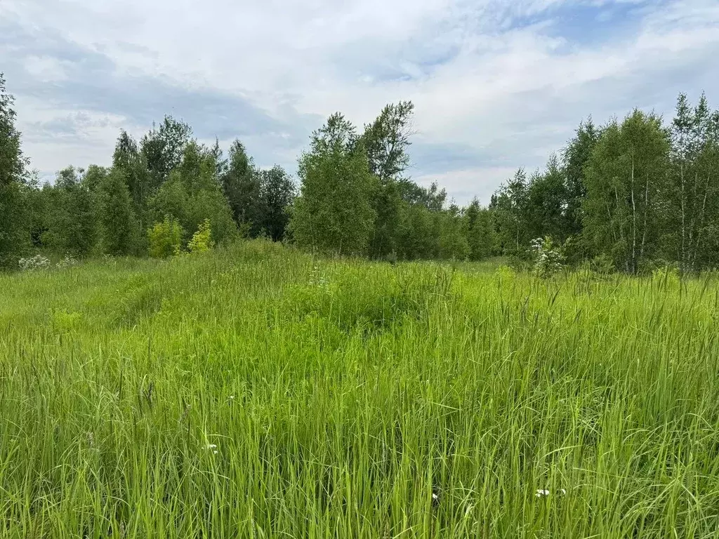 Участок в Московская область, Ногинск Богородский городской округ,  ... - Фото 0