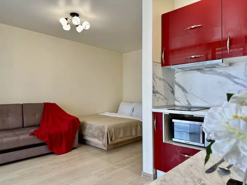 1-к кв. Новосибирская область, Новосибирск ул. Немировича-Данченко, ... - Фото 1