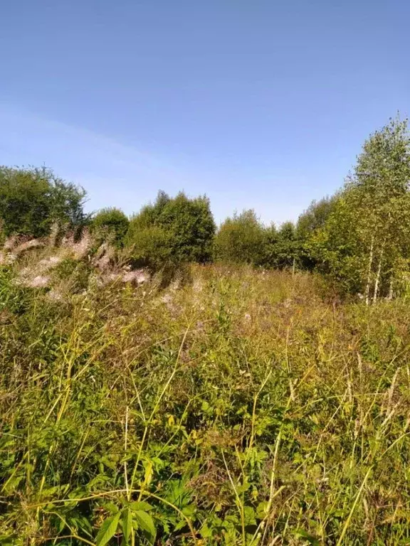 Участок в Смоленская область, Смоленский муниципальный округ, д. Лоево ... - Фото 2