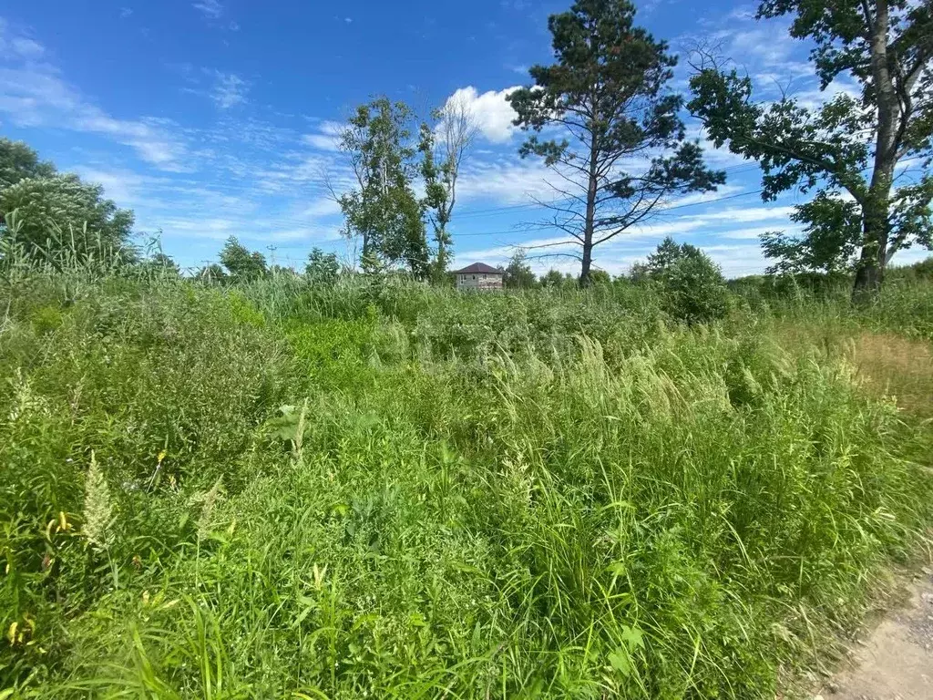 Участок в Хабаровский край, Хабаровский район, Тополевское с/пос, с. ... - Фото 2