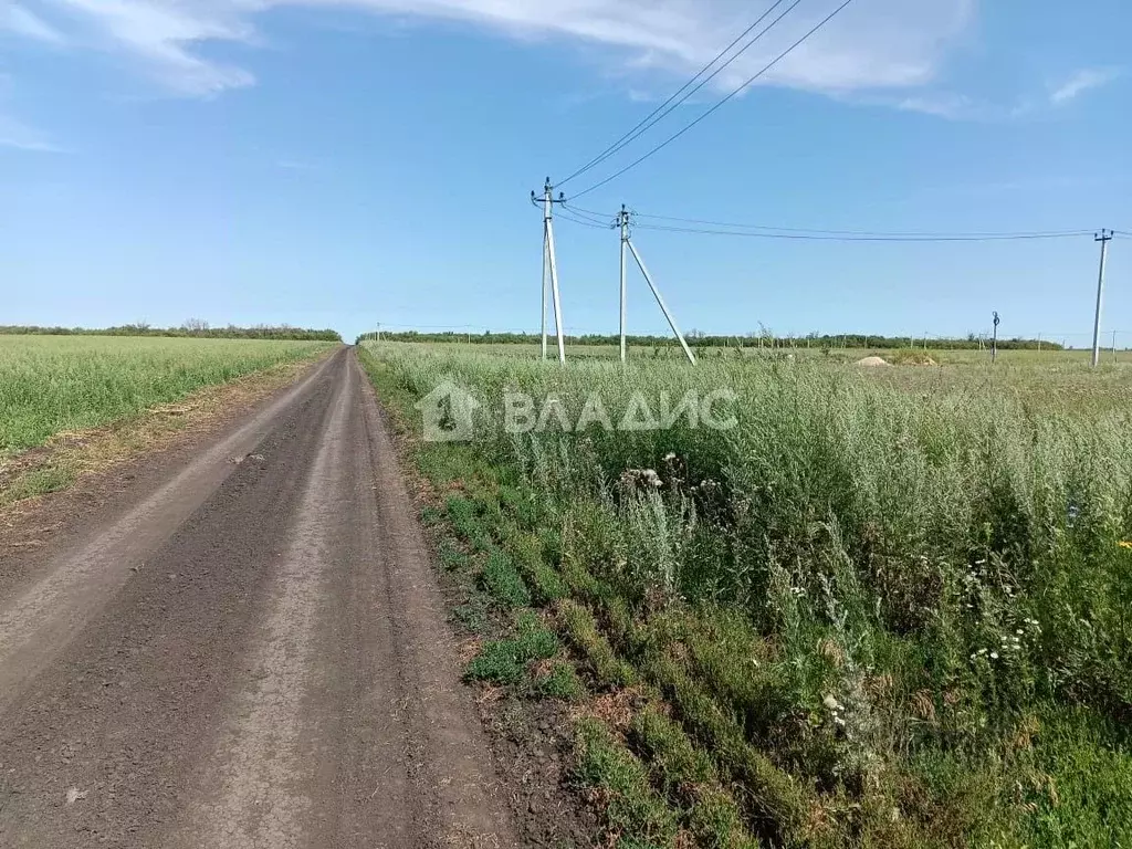 Участок в Тамбовская область, Тамбовский муниципальный округ, пос. ... - Фото 0