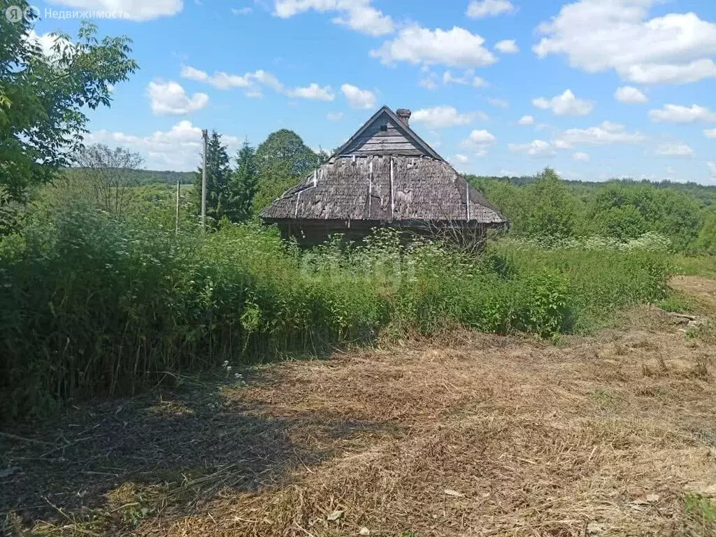 Участок в Болховский район, Хуторское сельское поселение, село ... - Фото 2