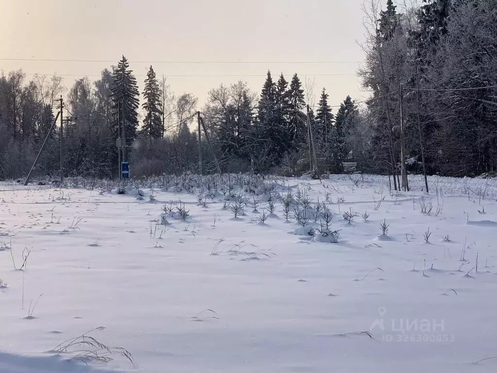 Участок в Московская область, Истра муниципальный округ, д. ... - Фото 1