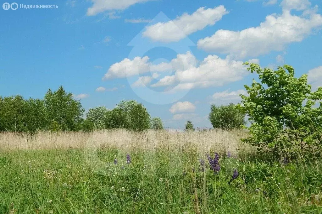 Участок в деревня Таганьково, коттеджный посёлок Николино (31.04 м) - Фото 0