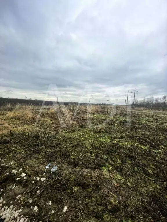 Участок, 10.9 сот., поселения (ижс) - Фото 1