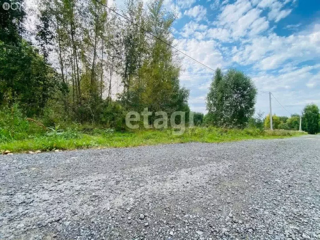 Участок в Тюмень, ДНП Звенящие Кедры Тюмени, Лазурная улица (4 м) - Фото 1