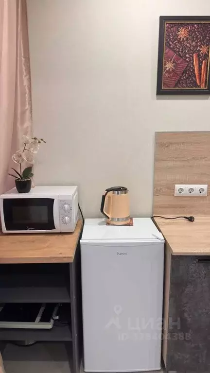 Студия Краснодарский край, Сочи городской округ, с. Черешня ул. ... - Фото 2