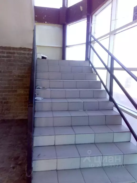 Помещение свободного назначения в Удмуртия, Ижевск Автозаводская ул., ... - Фото 1