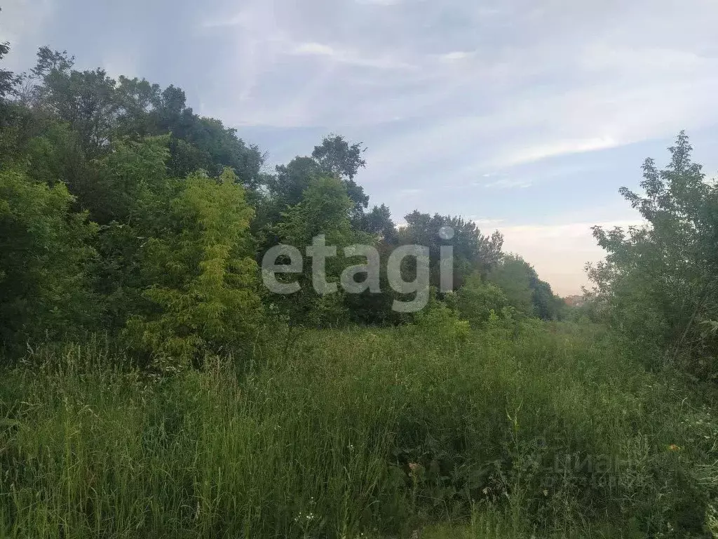 Участок в Тульская область, Тула городской округ, с. Маслово ул. ... - Фото 1