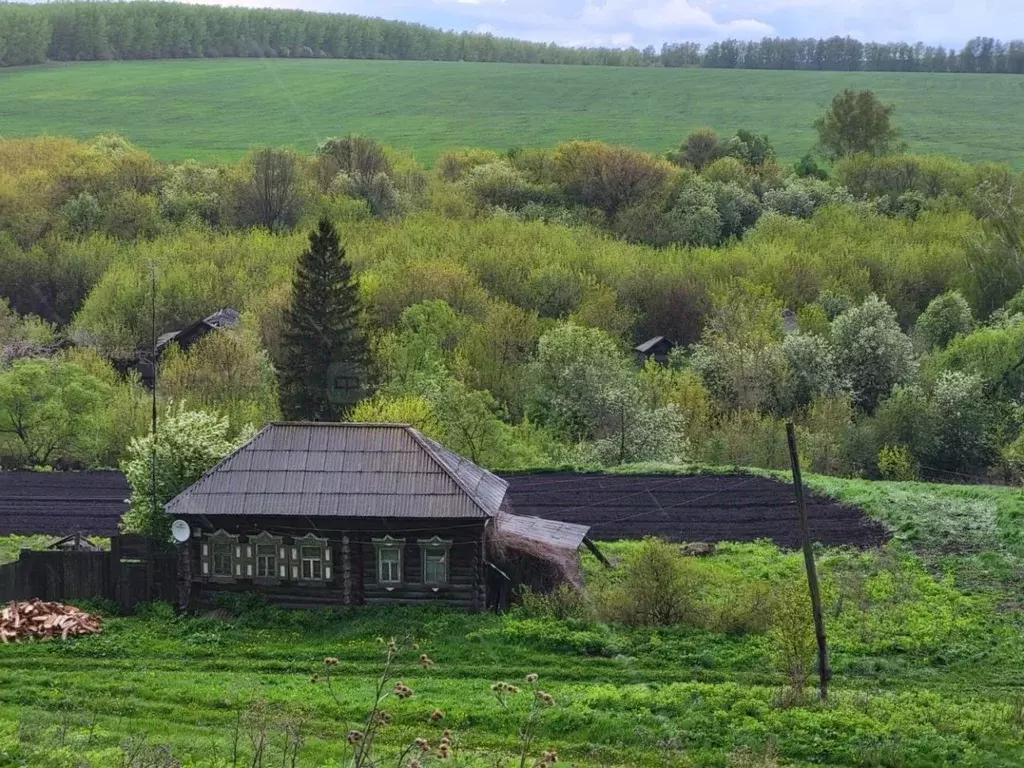 Участок в Татарстан, Тетюшский район, Федоровское с/пос, с. Удельное ... - Фото 1
