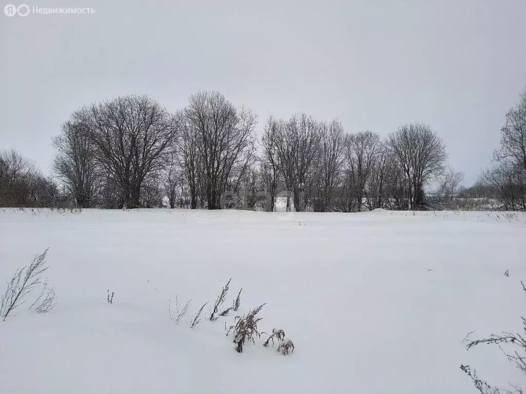 Участок в Ивняковское сельское поселение, садоводческое некоммерческое ... - Фото 0