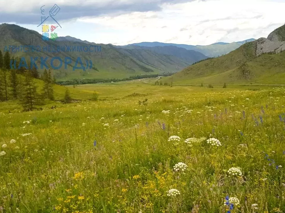 Участок в Алтай, Онгудайский район, с. Онгудай  (890.0 сот.) - Фото 1