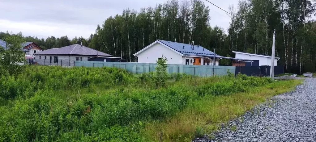 Участок в Тюменская область, Тюменский муниципальный округ, д. ... - Фото 1