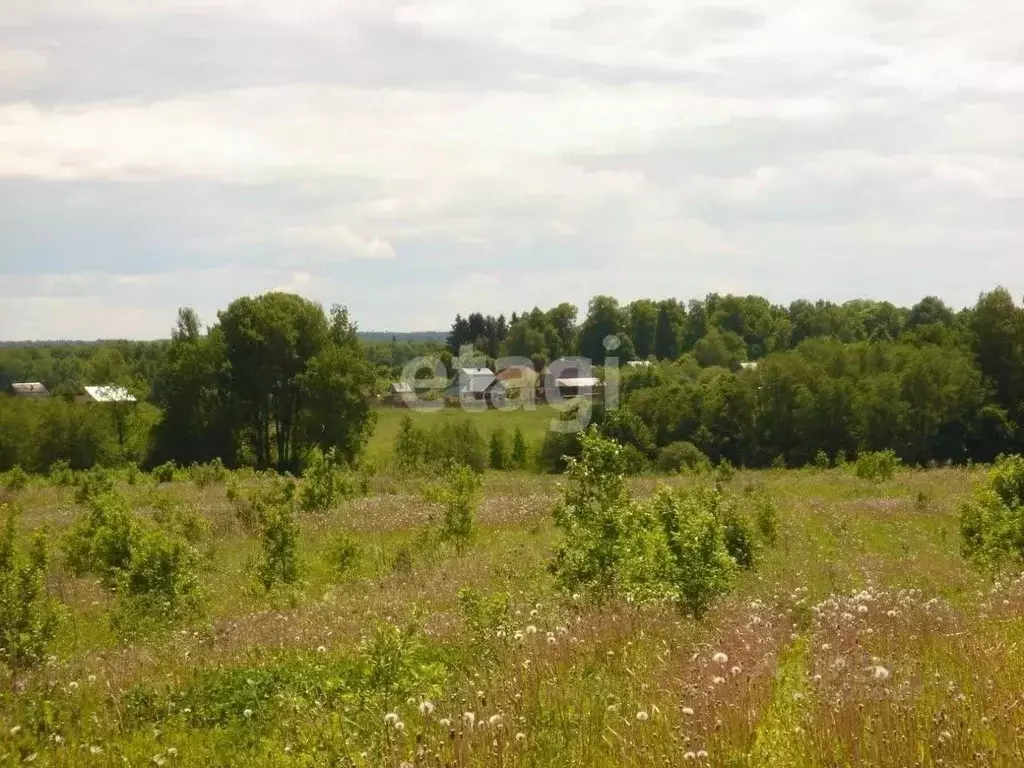 Участок в Московская область, Шаховская муниципальный округ, д. ... - Фото 2