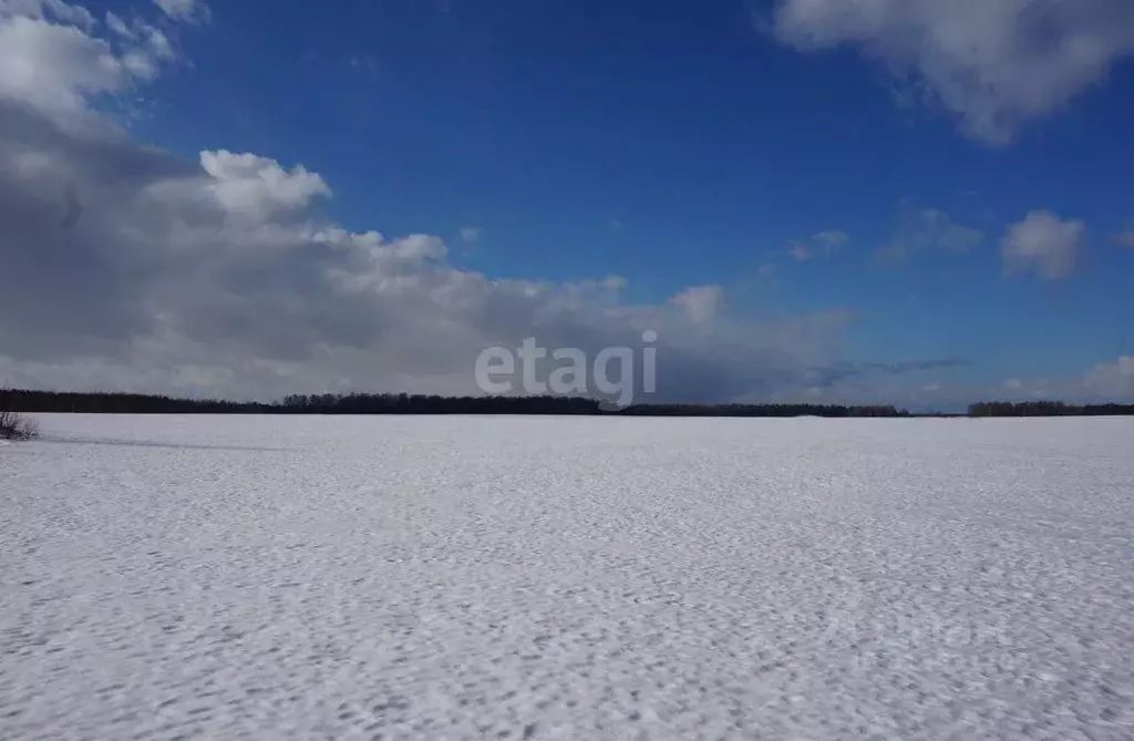 Участок в Архангельская область, Котласский муниципальный округ, ... - Фото 1