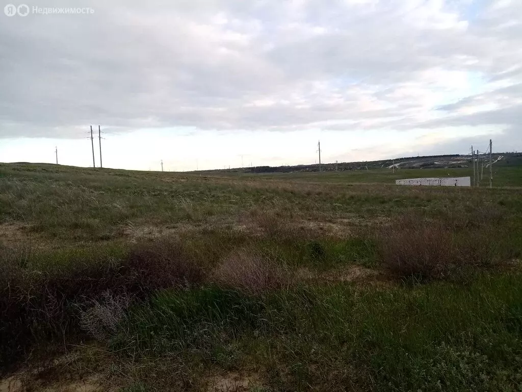 Участок в Волгоградская область, рабочий посёлок Городище, СНТ ... - Фото 1