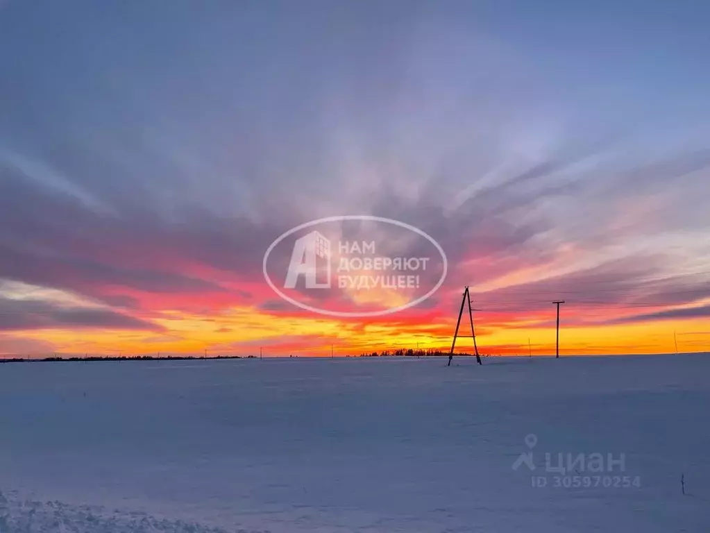 Участок в Удмуртия, Малопургинский район, с. Ильинское  (1403.0 сот.) - Фото 1