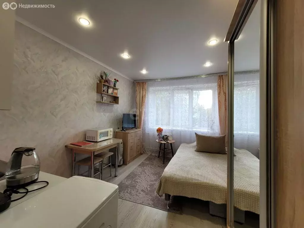 Квартира-студия: Саранск, Республиканская улица, 100 (17.3 м) - Фото 2