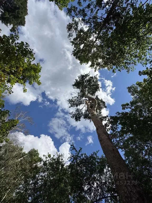 Участок, 22 сот., поселения (ижс) - Фото 1