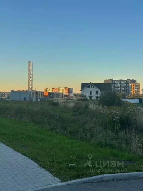 Участок в Ленинградская область, Ломоносовский район, Аннинское ... - Фото 1