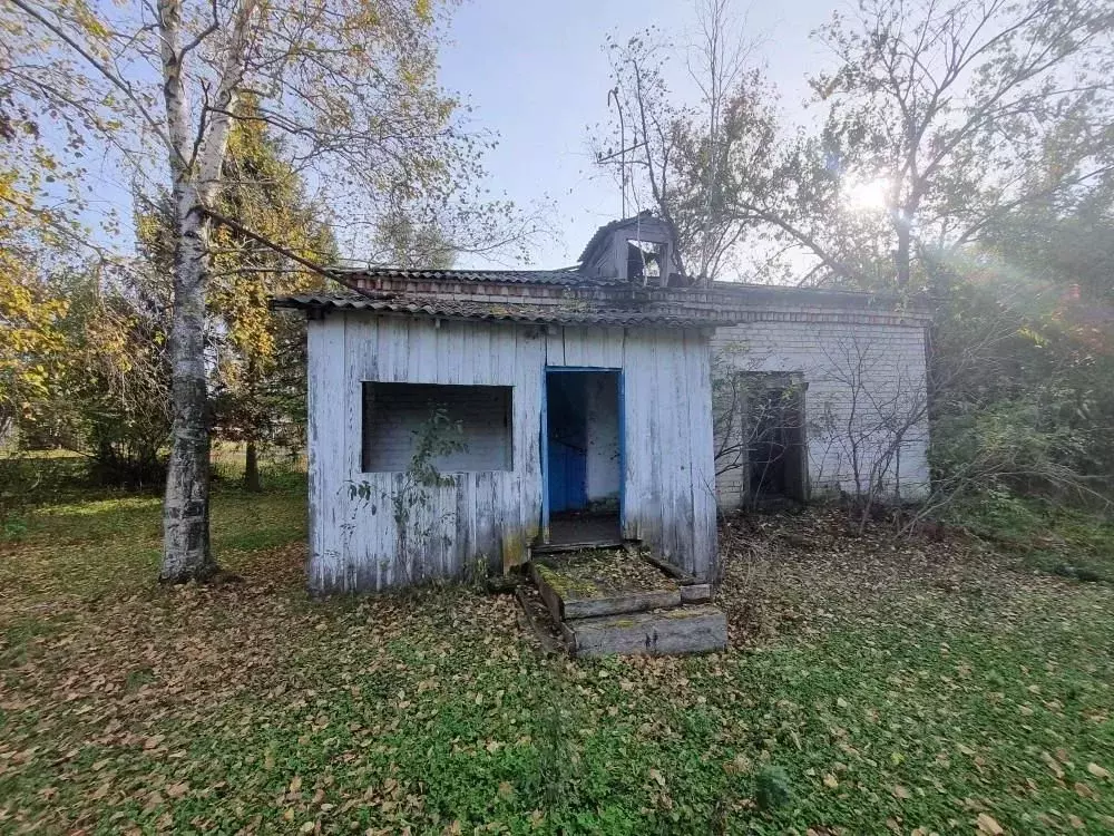 Помещение свободного назначения в Амурская область, Архаринский ... - Фото 2