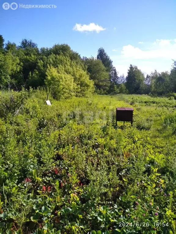 Дом в село Кинель-Черкассы, Ленинская улица (23.3 м) - Фото 0