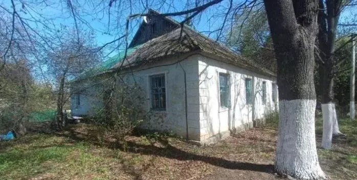 Офис в Липецкая область, Становлянский муниципальный округ, с. Кличено ... - Фото 1