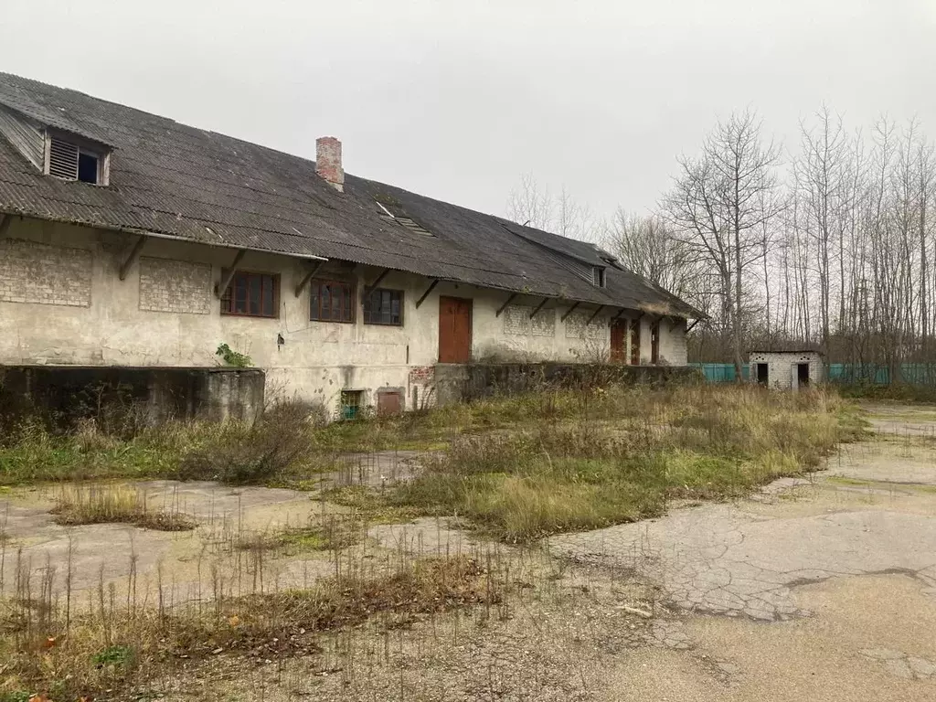 Помещение свободного назначения в Калининградская область, Гвардейск ... - Фото 1