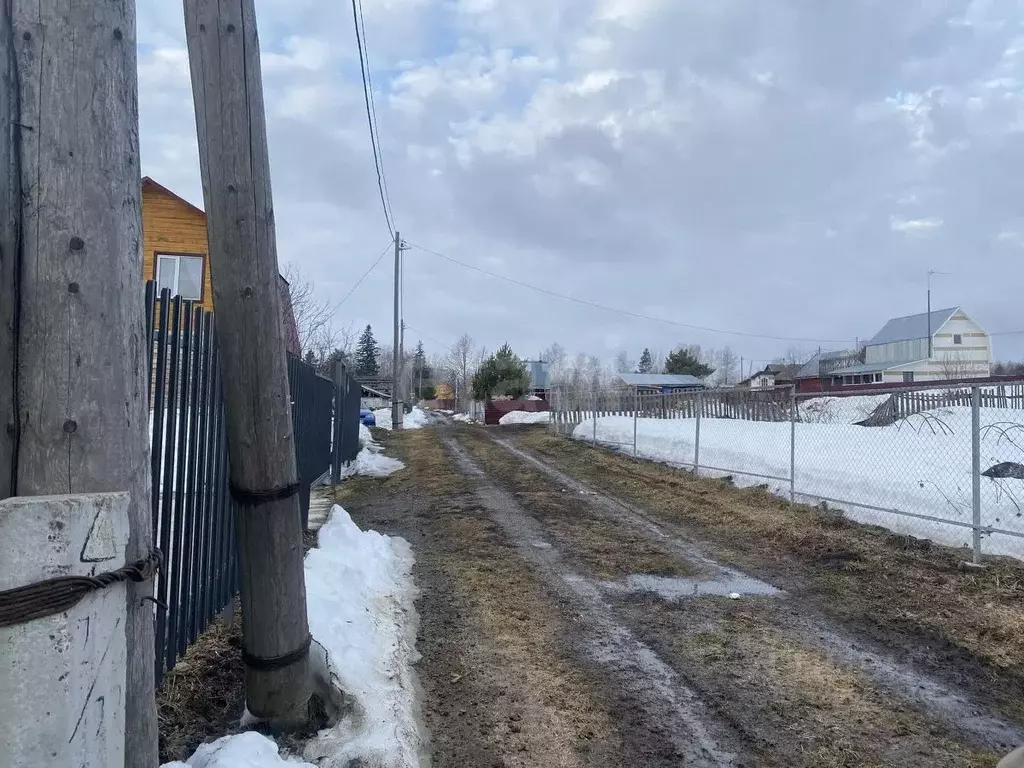 Участок в Томская область, Томск Березка садовое товарищество,  (13.0 ... - Фото 1