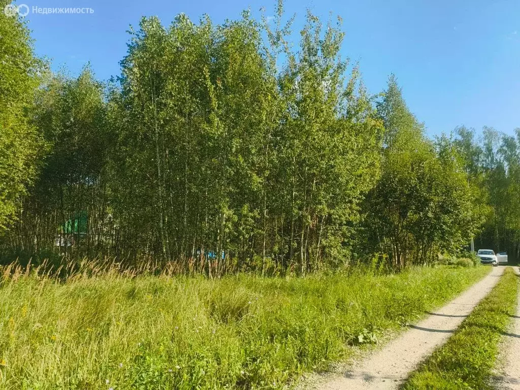 Участок в Московская область, городской округ Серпухов, деревня ... - Фото 0