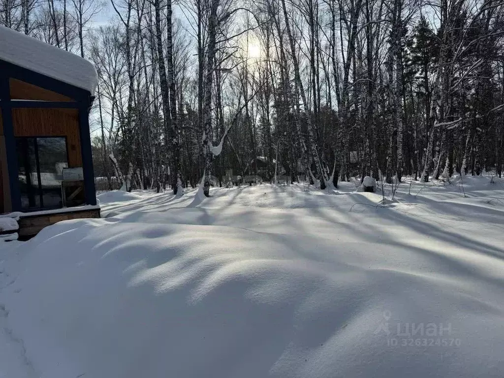 Участок в Новосибирская область, Искитимский район, Морозовский ... - Фото 1