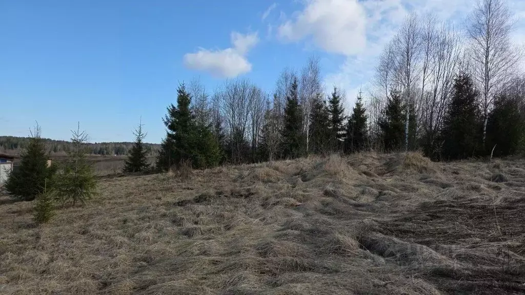 Участок в Московская область, Сергиево-Посадский городской округ, д. ... - Фото 0