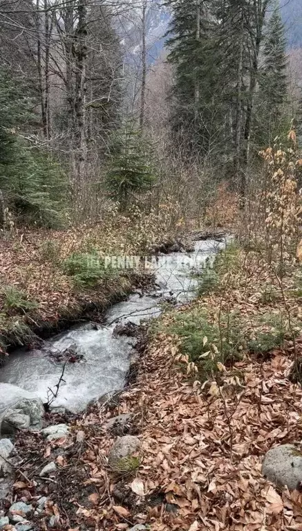 Участок в Карачаево-Черкесия, Зеленчукский район, с. Архыз  (375.0 ... - Фото 2
