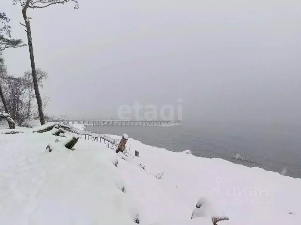 Участок в Калининградская область, Зеленоградский муниципальный округ, ... - Фото 1