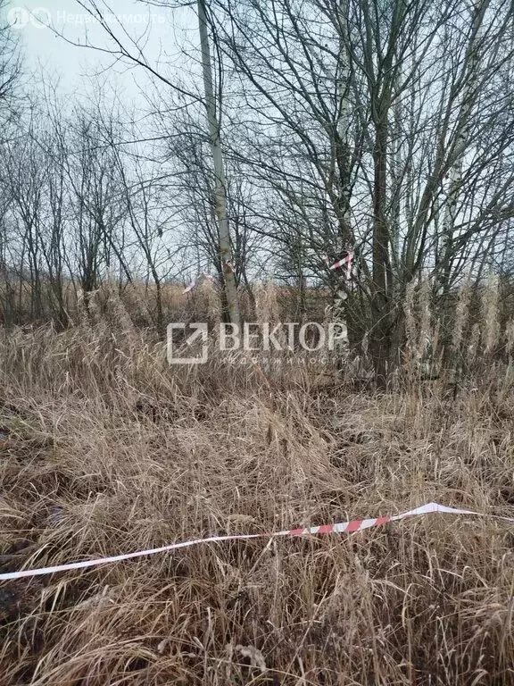 Участок в Кострома, Счастливая улица (11.77 м) - Фото 2