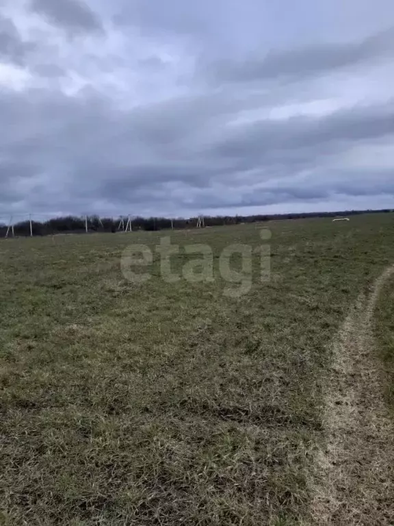 Участок в Краснодарский край, Ейск Заря СНТ,  (500.0 сот.) - Фото 2
