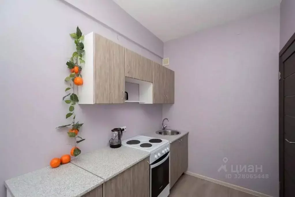 1-к кв. Иркутская область, Иркутский муниципальный округ, пос. ... - Фото 1