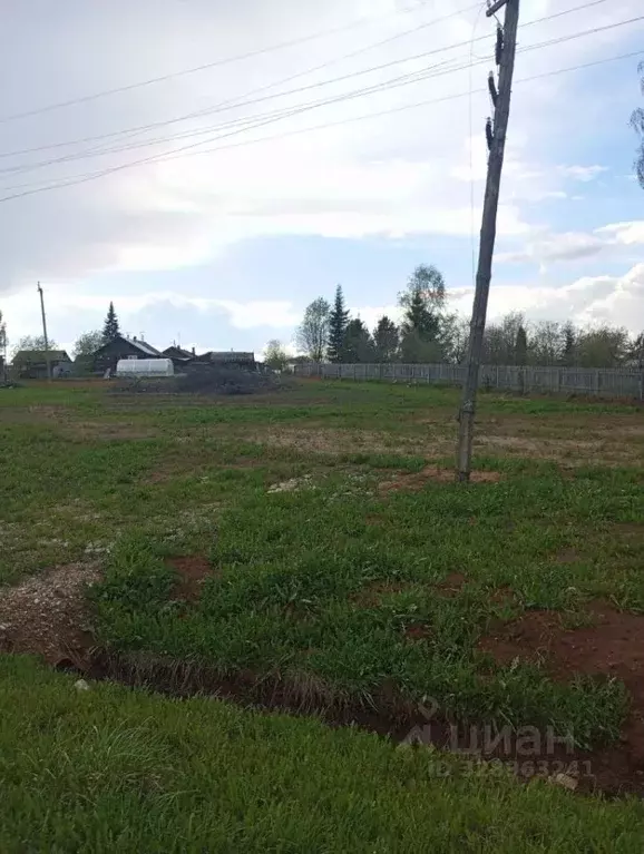 Участок в Кировская область, Белая Холуница ул. Боровая (10.0 сот.) - Фото 2