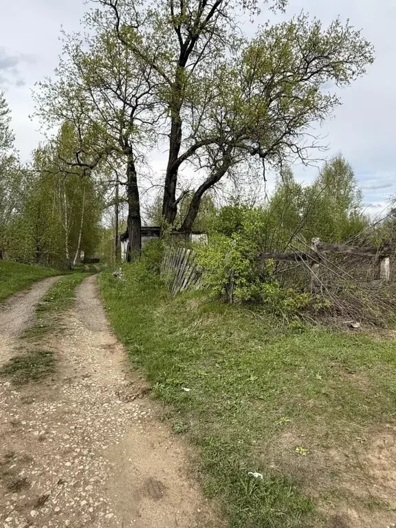 Участок в Владимирская область, Владимир Связист сад,  (8.0 сот.) - Фото 0
