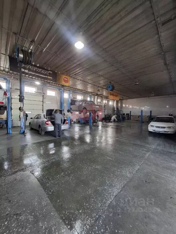 Помещение свободного назначения в Омская область, Омск ул. 1-я ... - Фото 2