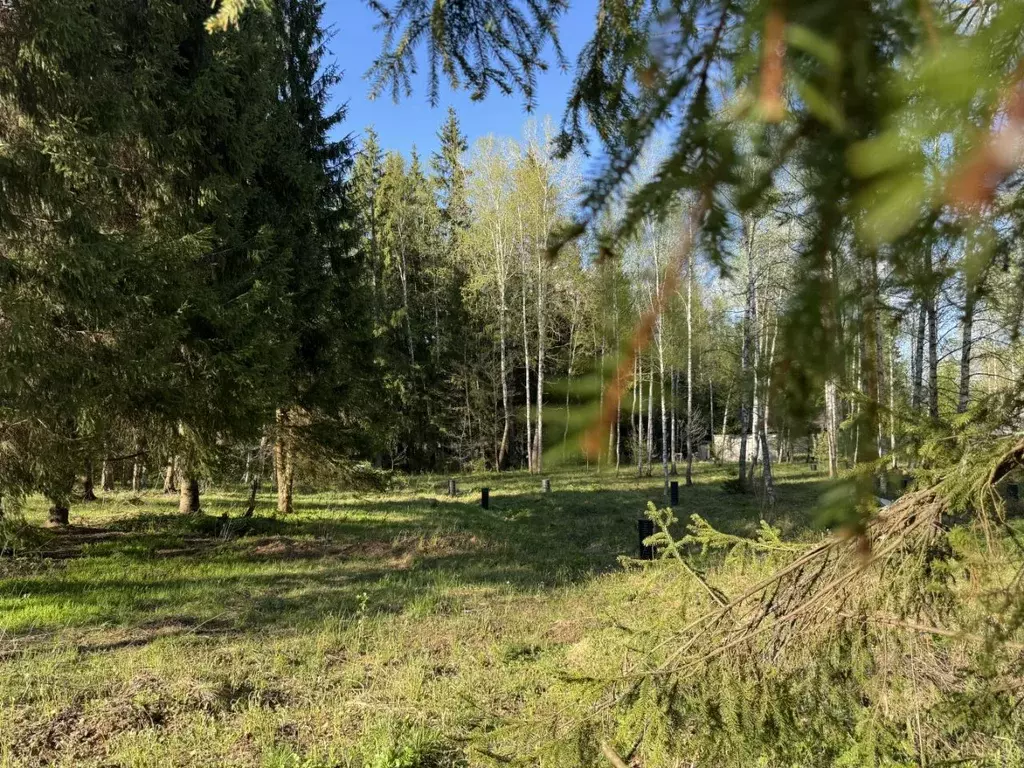 Дом в Московская область, Дмитровский городской округ, Яхрома Ривер дп ... - Фото 0