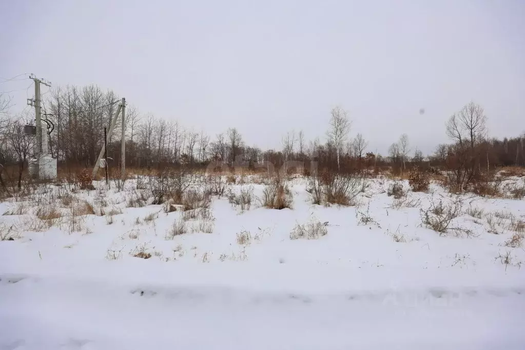 Участок в Еврейская автономная область, Смидовичский район, пос. ... - Фото 1