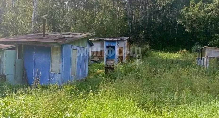 Дом в Новосибирская область, Новосибирск Ветеран СНТ, ул. Логовая (28 ... - Фото 1