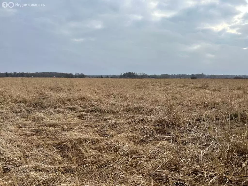 Участок в Московская область, городской округ Коломна, деревня Сенцово ... - Фото 0