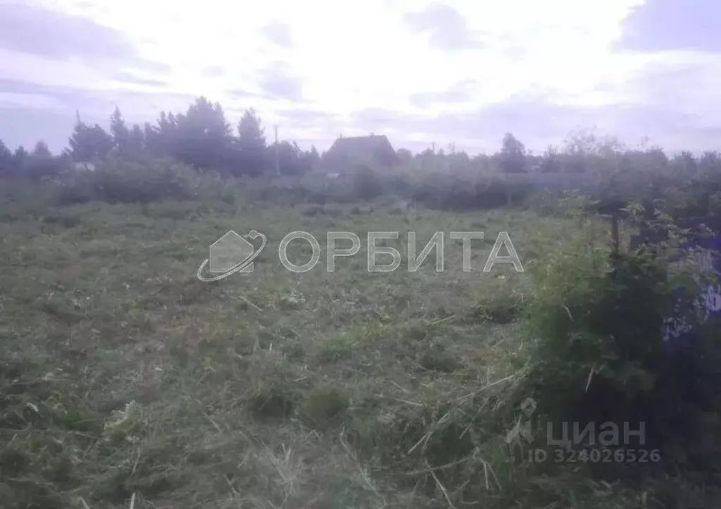 Участок в Тюменская область, Тюменский муниципальный округ, Нива СНТ ... - Фото 2