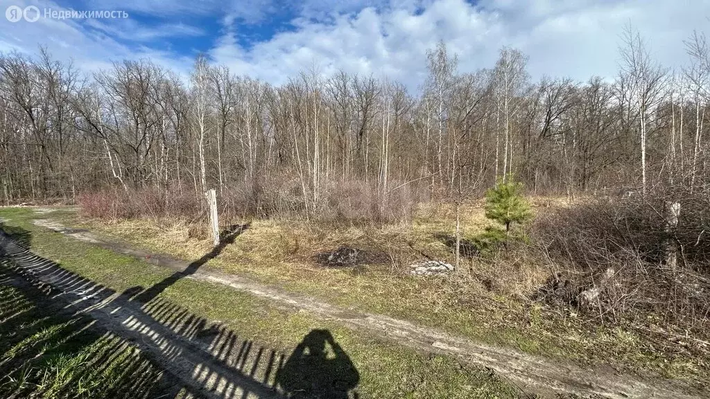 Участок в Ульяновск, СНТ Весна, 3-я линия (6.09 м) - Фото 2
