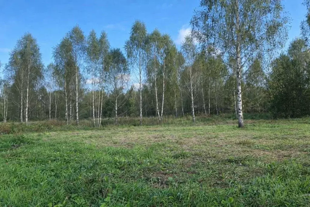 Участок в Ленинградская область, Тосненский район, Любанское городское ... - Фото 2